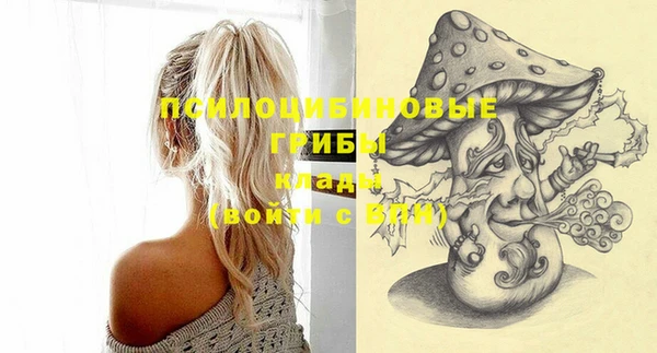 твердый Михайловка
