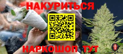 сатива Бийск