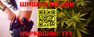 сатива Бийск