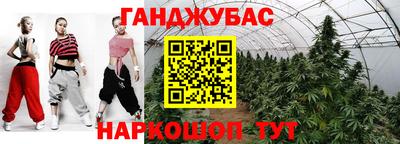 сатива Бийск