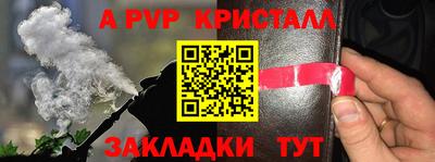 сатива Бийск
