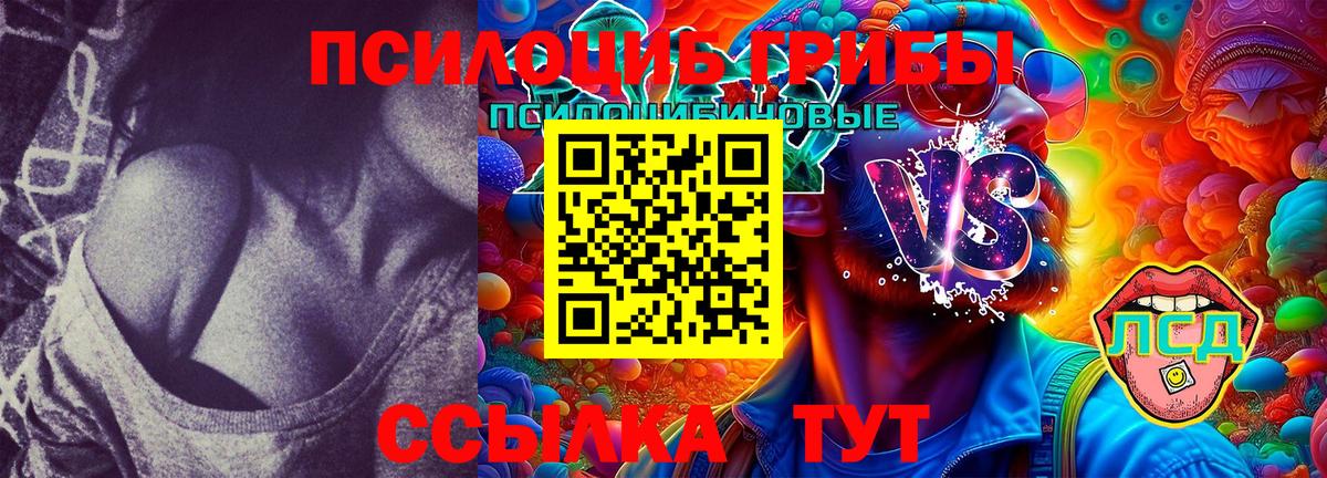 Псилоцибиновые грибы Cubensis  Вход с VPN  Тара  Псилоцибиновые грибы Magic Shrooms 